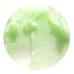 MAY ISLAND Lip Sugar Scrub No.1 Dragonfruit Kiwi 12g