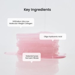 The new hit BIODANCE Collagen Gel Toner Pads