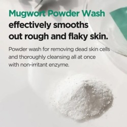 IsNtree Mugwort Calming Powder Wash 1g