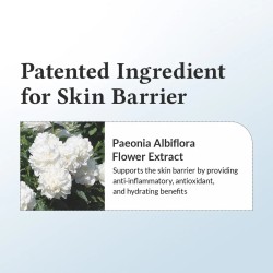 Dr. Althea 147 Barrier Cream 50ml