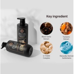 DAENG GI MEO RI Black Garlic & Curcumin Shampoo 500ml
