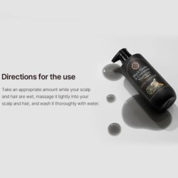 DAENG GI MEO RI Black Garlic & Curcumin Shampoo 500ml