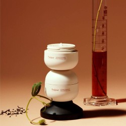 Fraijour Alchemic Ginsenoside Intense Firming Cream
