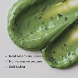 Fraijour Original Artemisia Steam Mask 50ml