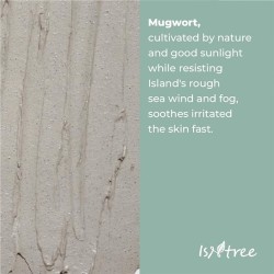 IsNtree Mugwort Calming Clay mask 100ml